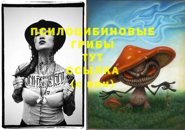 первитин Алексеевка