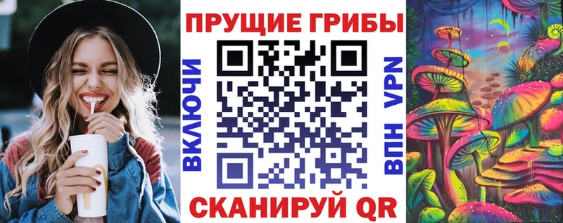 наркошоп  нарко площадка наркотические препараты  blacksprut вход  Псилоцибиновые грибы прущие грибы  Иланский 